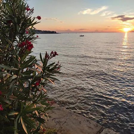 Apartma-studio Barbara