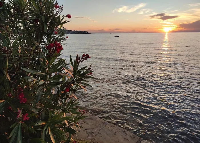 Apartma-studio Barbara